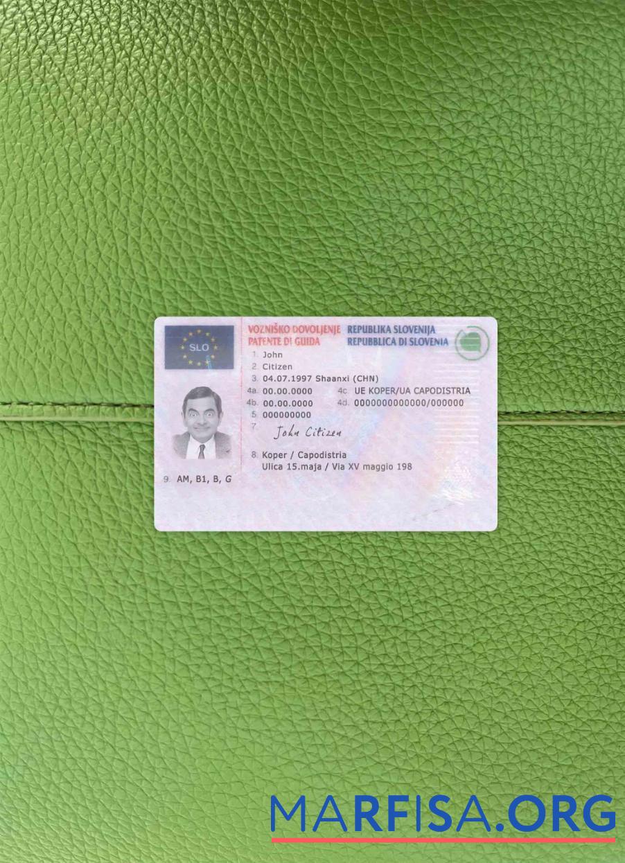 Printable Slovenia driving license photolook template